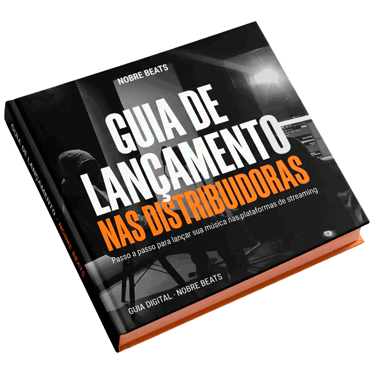 Guia de lançamento nas distribuidoras